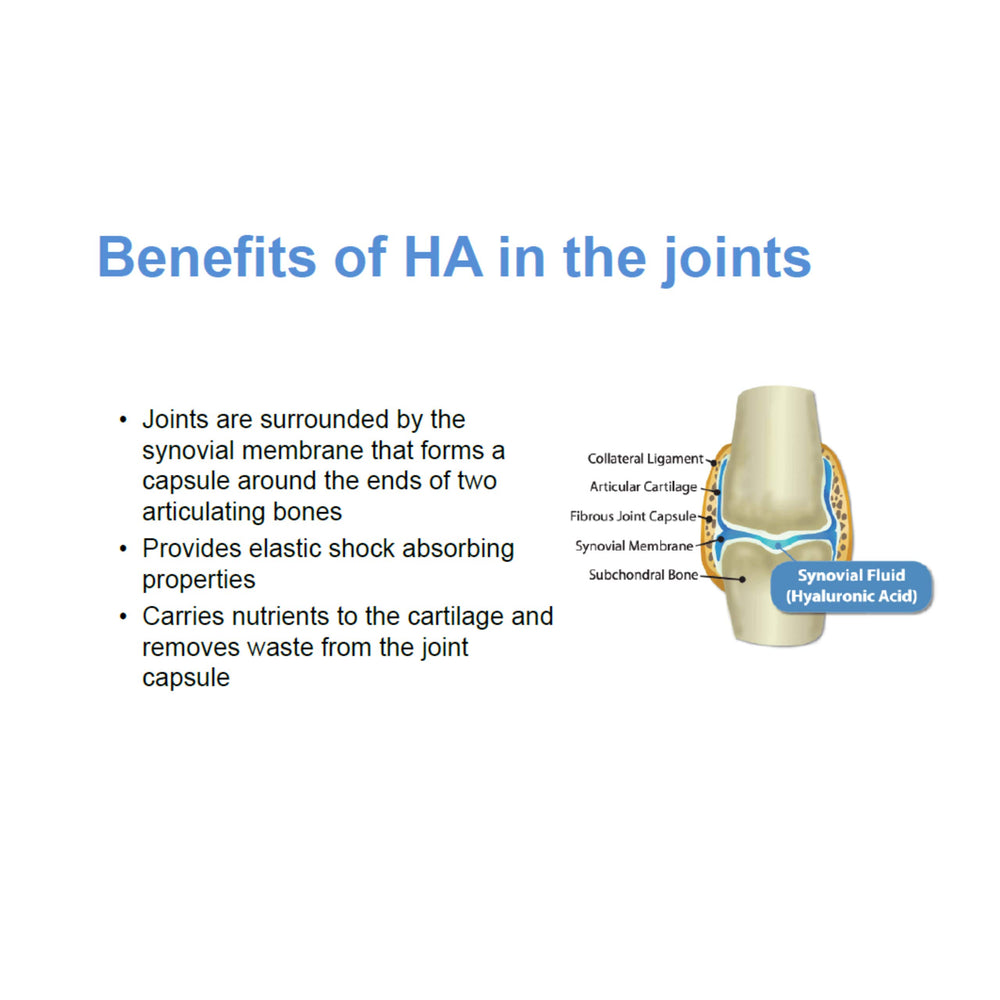 Graphic illustrating skin hydration and antioxidant benefits