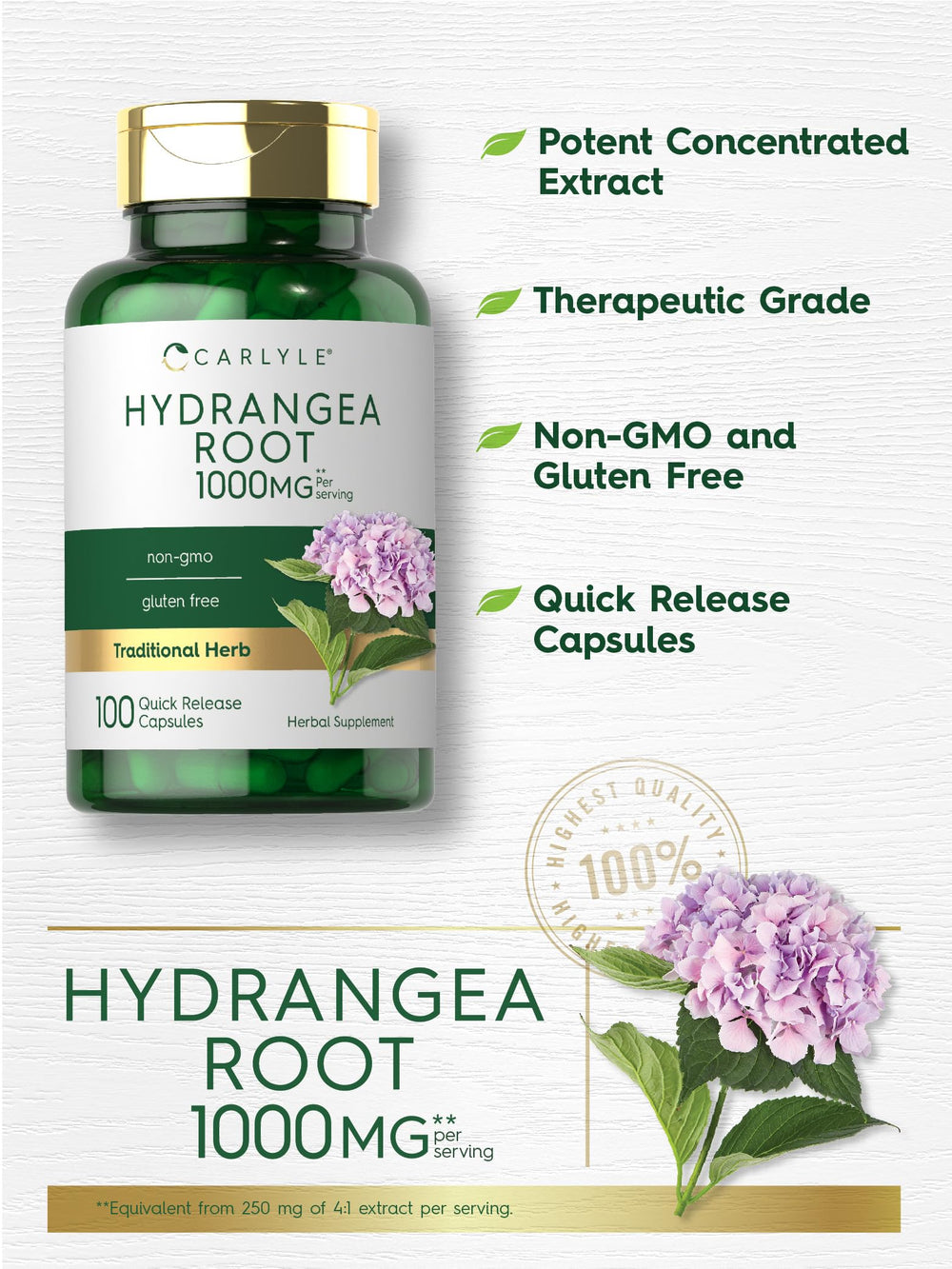 Hydrangea root capsules close-up