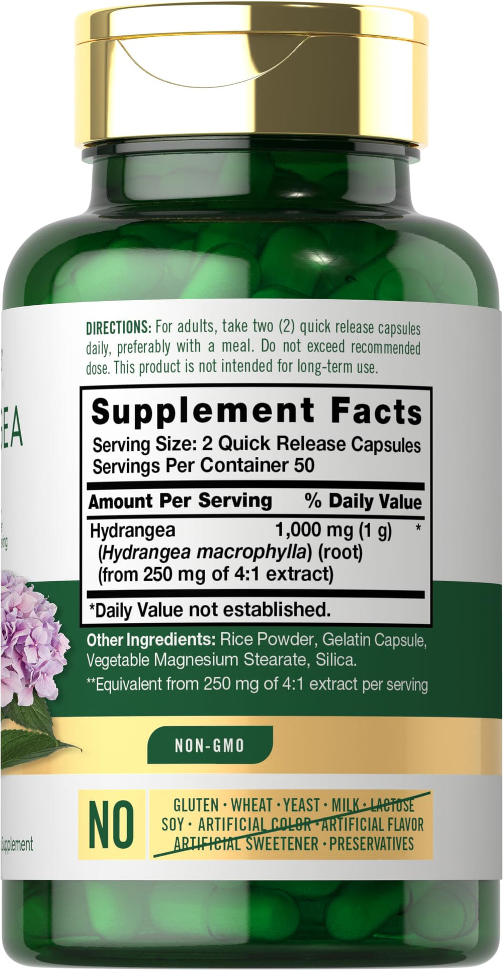 Close-up of hydrangea root plant