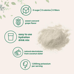 Coconut water-based electrolytes for hydration