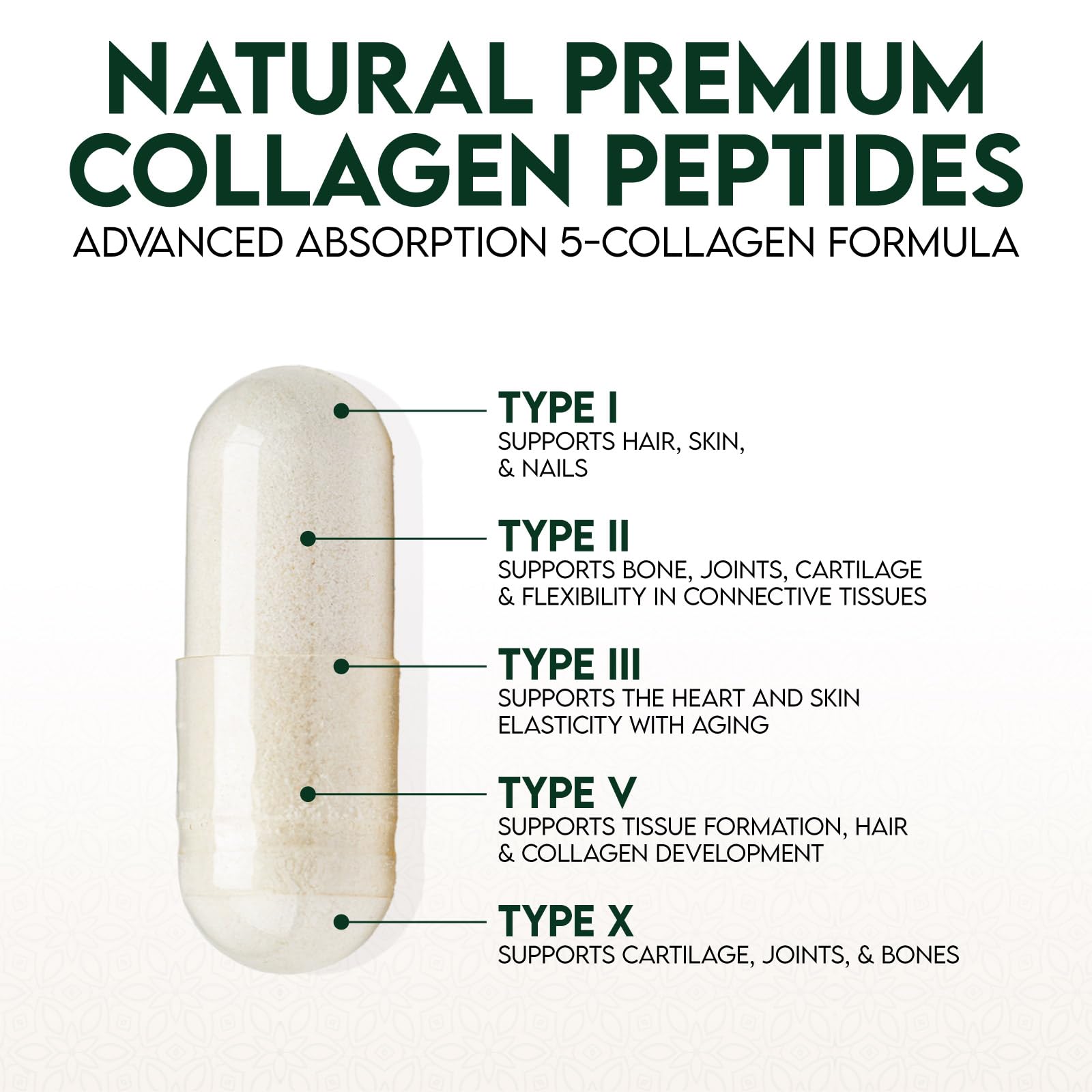 Close-up of hydrolyzed collagen peptides