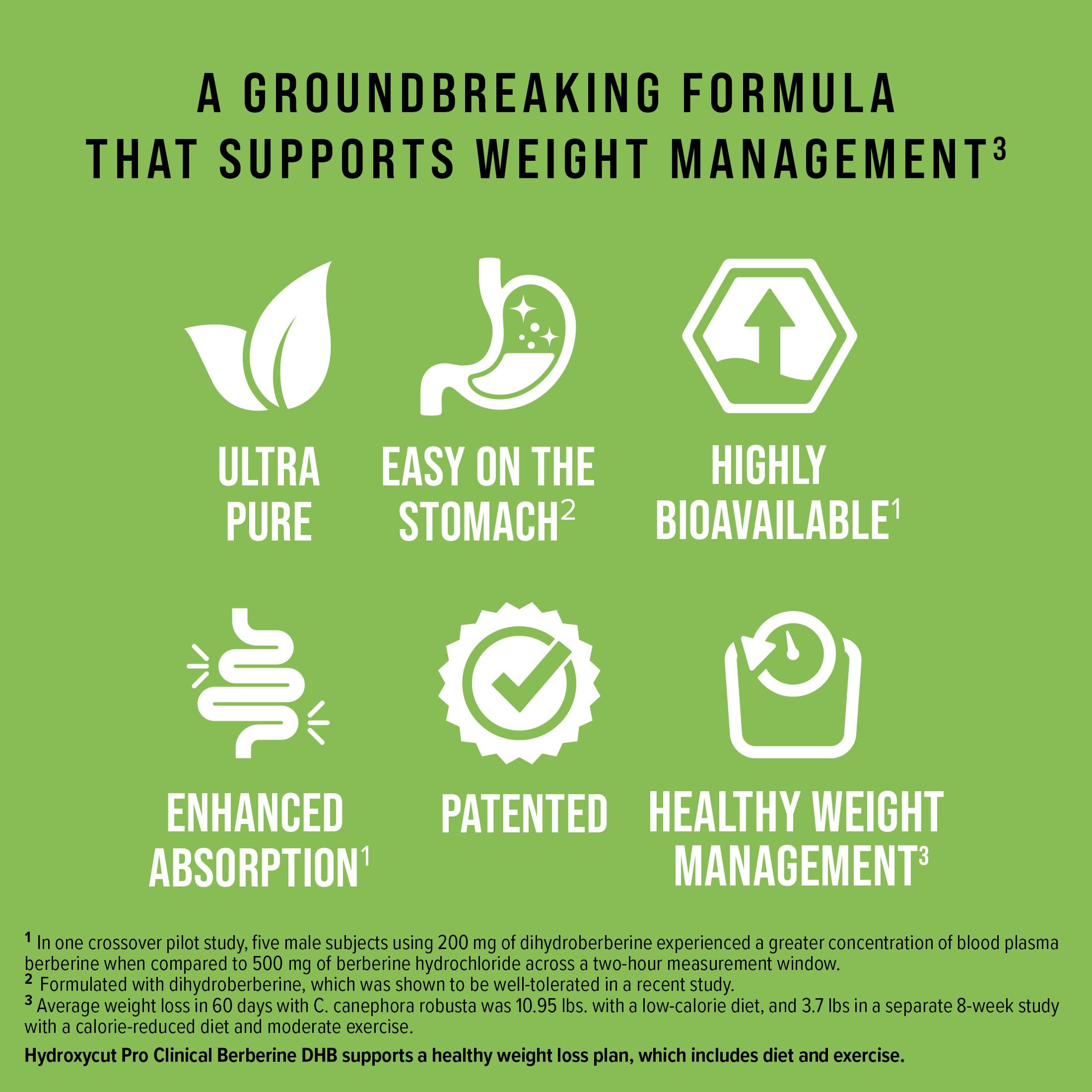 Ingredient overview: Green Coffee, Magnesium, Cinnamon, Chromium, GlucoVantage DHB