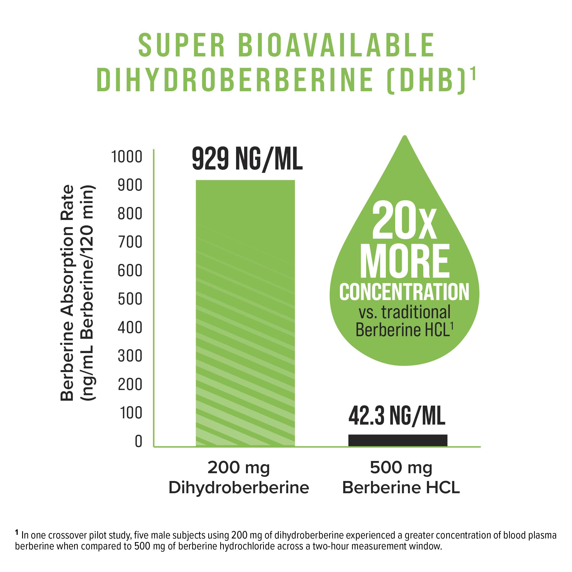 Illustration of Green Coffee and GlucoVantage DHB absorption