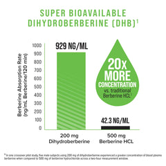 Illustration of Green Coffee and GlucoVantage DHB absorption