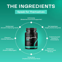 Hydroxytyrosol ingredient for immune and lymphatic support