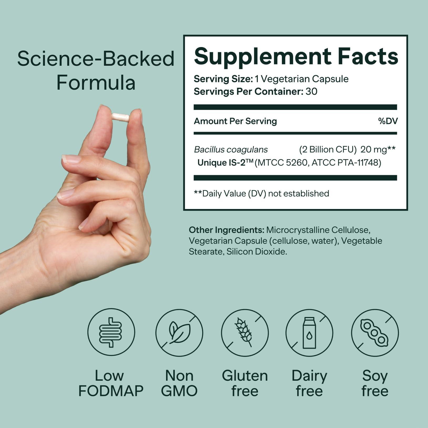 Illustration of live probiotic cultures