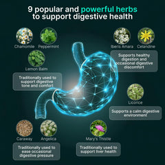 Lemon balm leaves in IBShield digestive blend