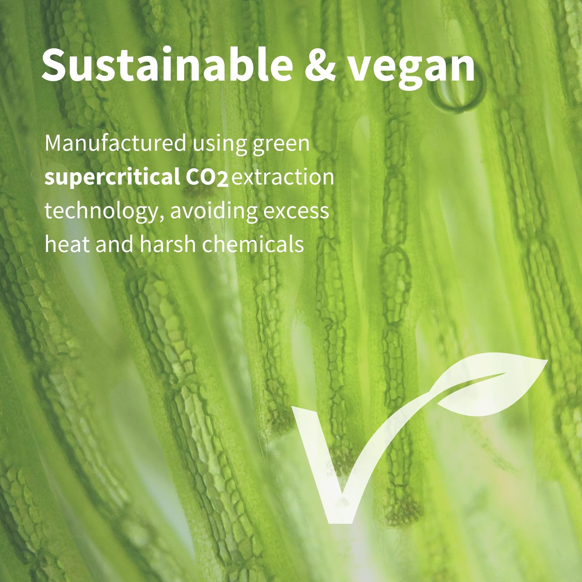 Lutein and Zeaxanthin ingredients in the formula