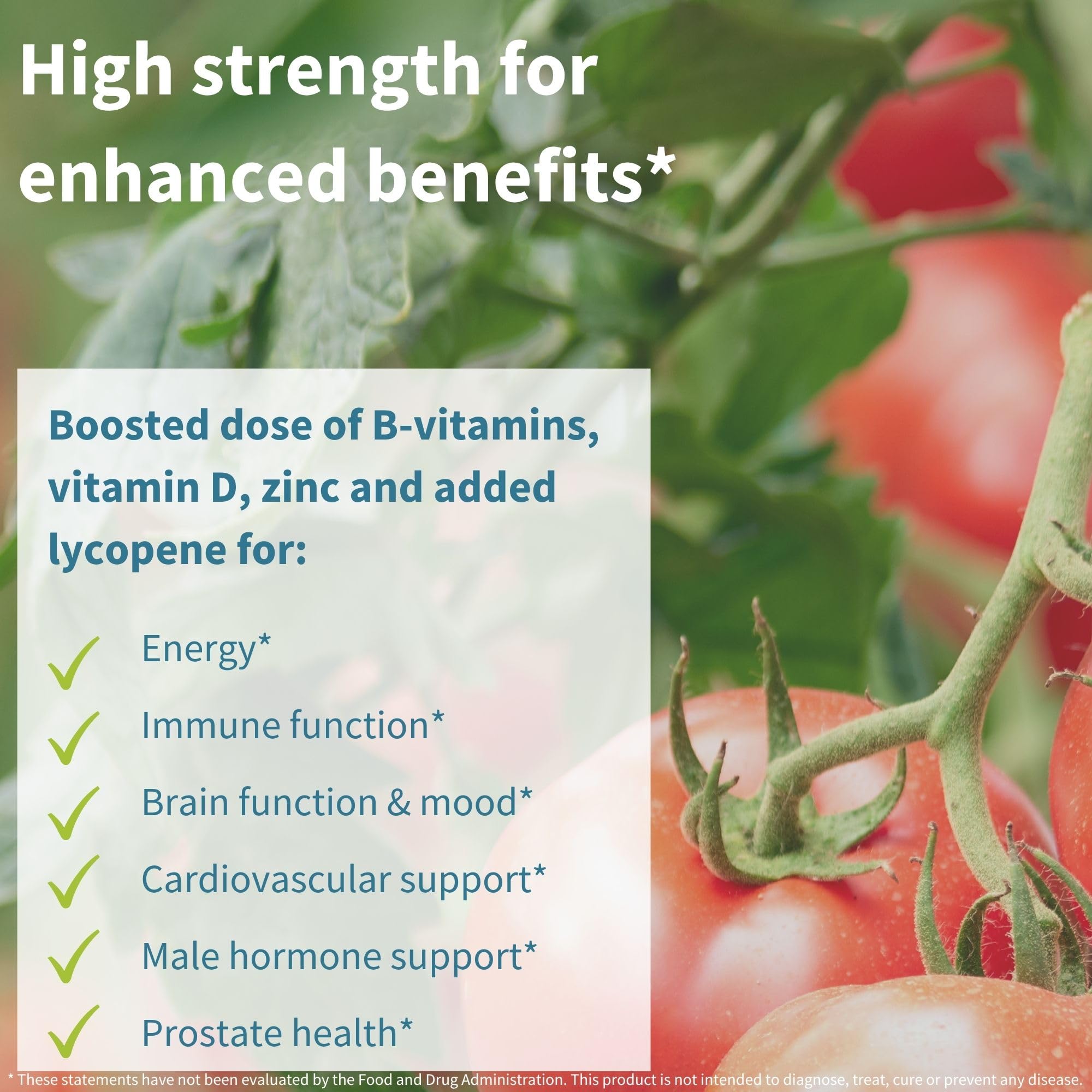 Vegan Igennus Methylated Men's Multivitamin