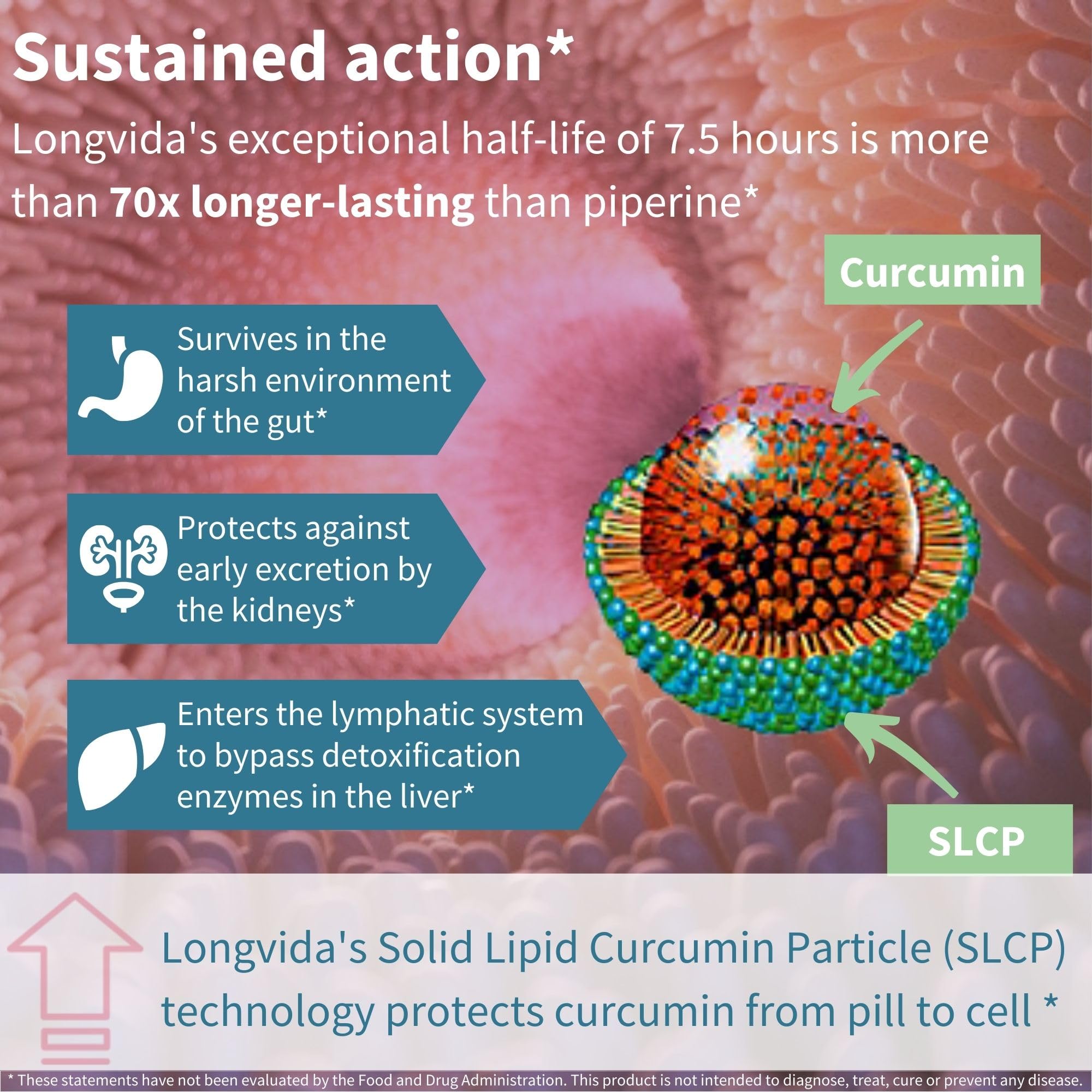 Ingredients list for Igennus Longvida Curcumin 500mg