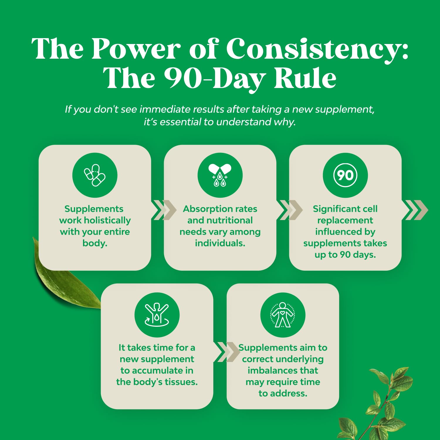 Natures Craft Advanced Bile Salt TUDCA Supplement – Extra Strength 500mg per Serving for Liver, Gallbladder & Kidney Support