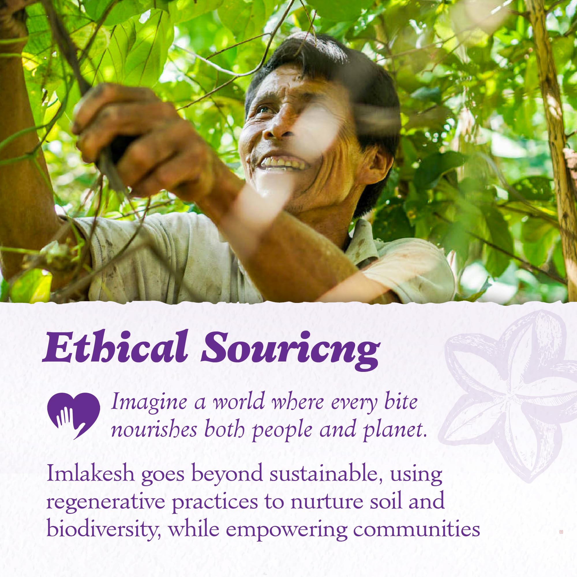 Imlak'esh Organics Sacha Inchi Protein pour shows powder-ready for baking and cooking.