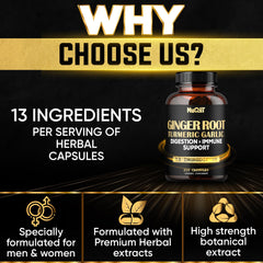 Immune-boosting blend featuring Elderberry, Echinacea, Panax Ginseng, Olive Leaf and Ashwagandha