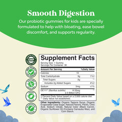Close-up of Bacillus Subtilis probiotic gummies