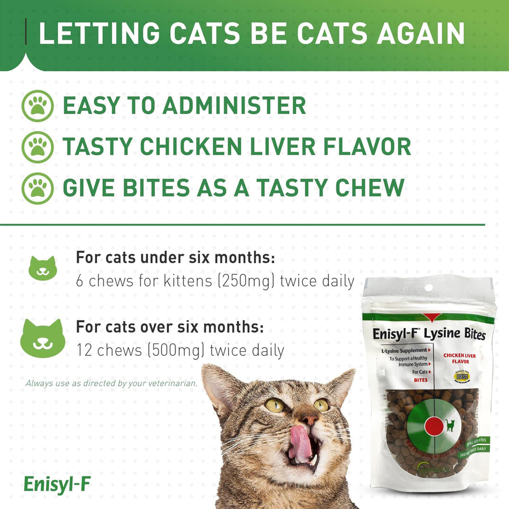 Illustration showing immune support for eye and respiratory health in cats