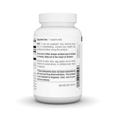 Graphic showing immune support benefits of echinacea