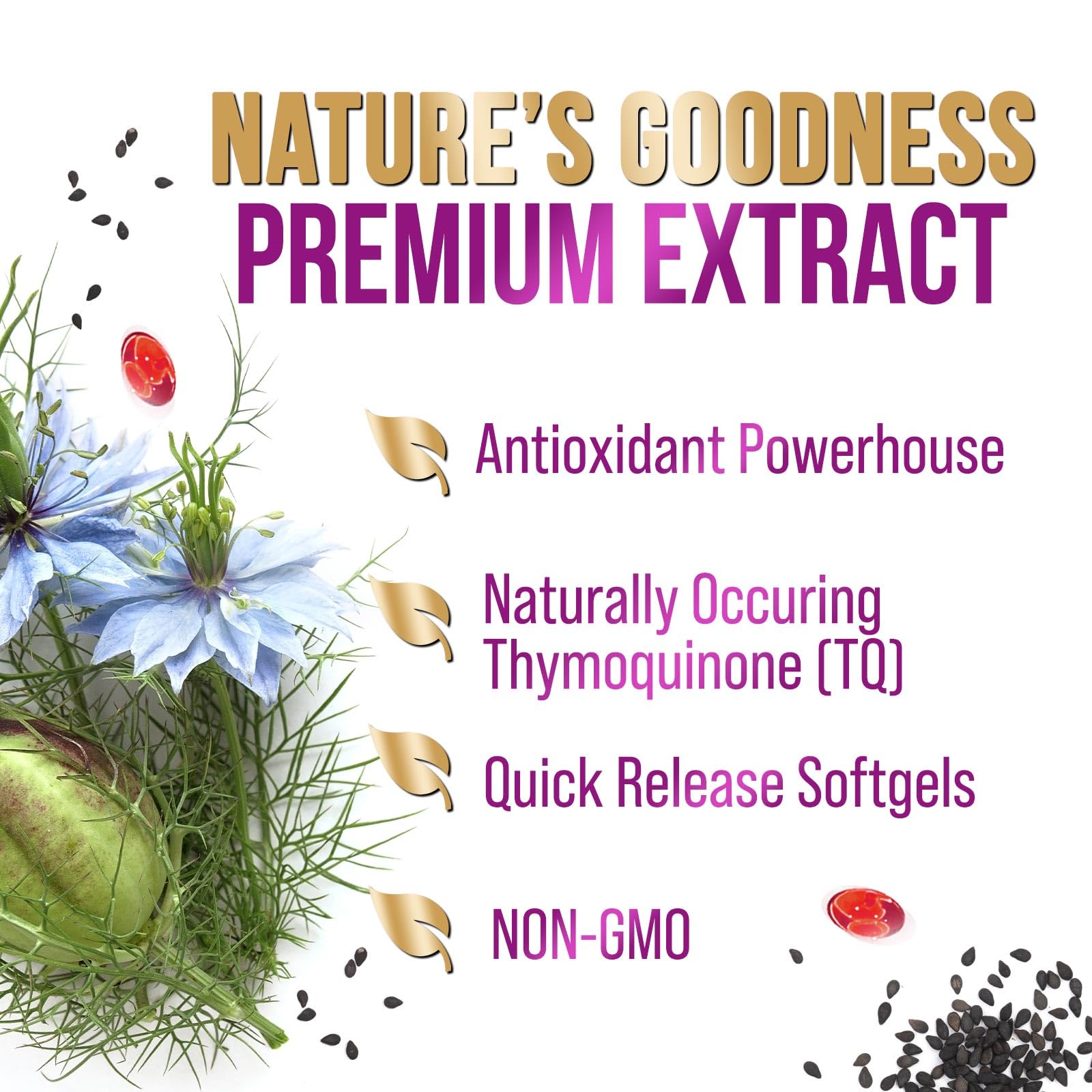 Immune support black seed oil softgel capsules