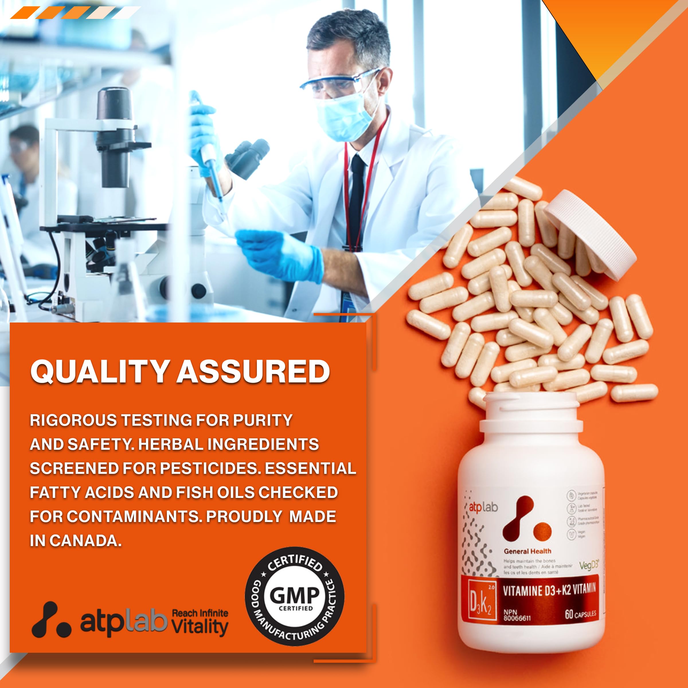 Image representing immune support from vegan D3 K2