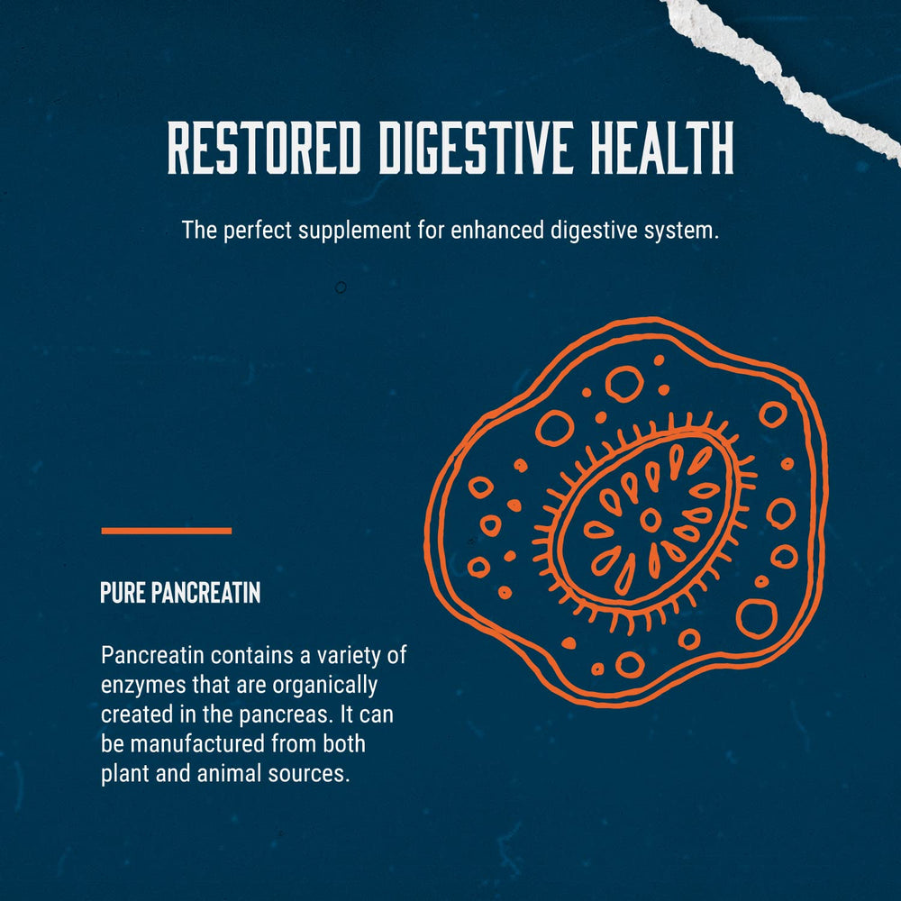 Digestive enzyme supplement supporting immune health