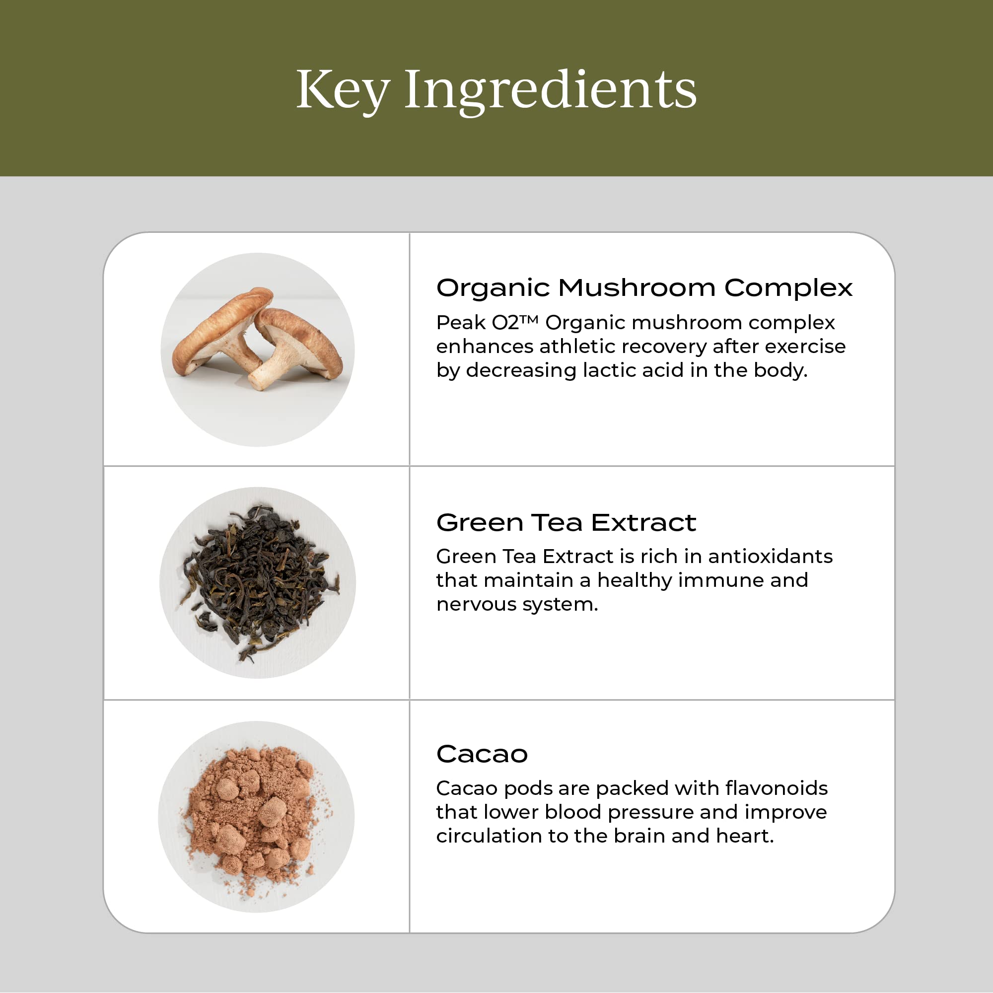 Graphic showing immune support and energy benefits of mushrooms