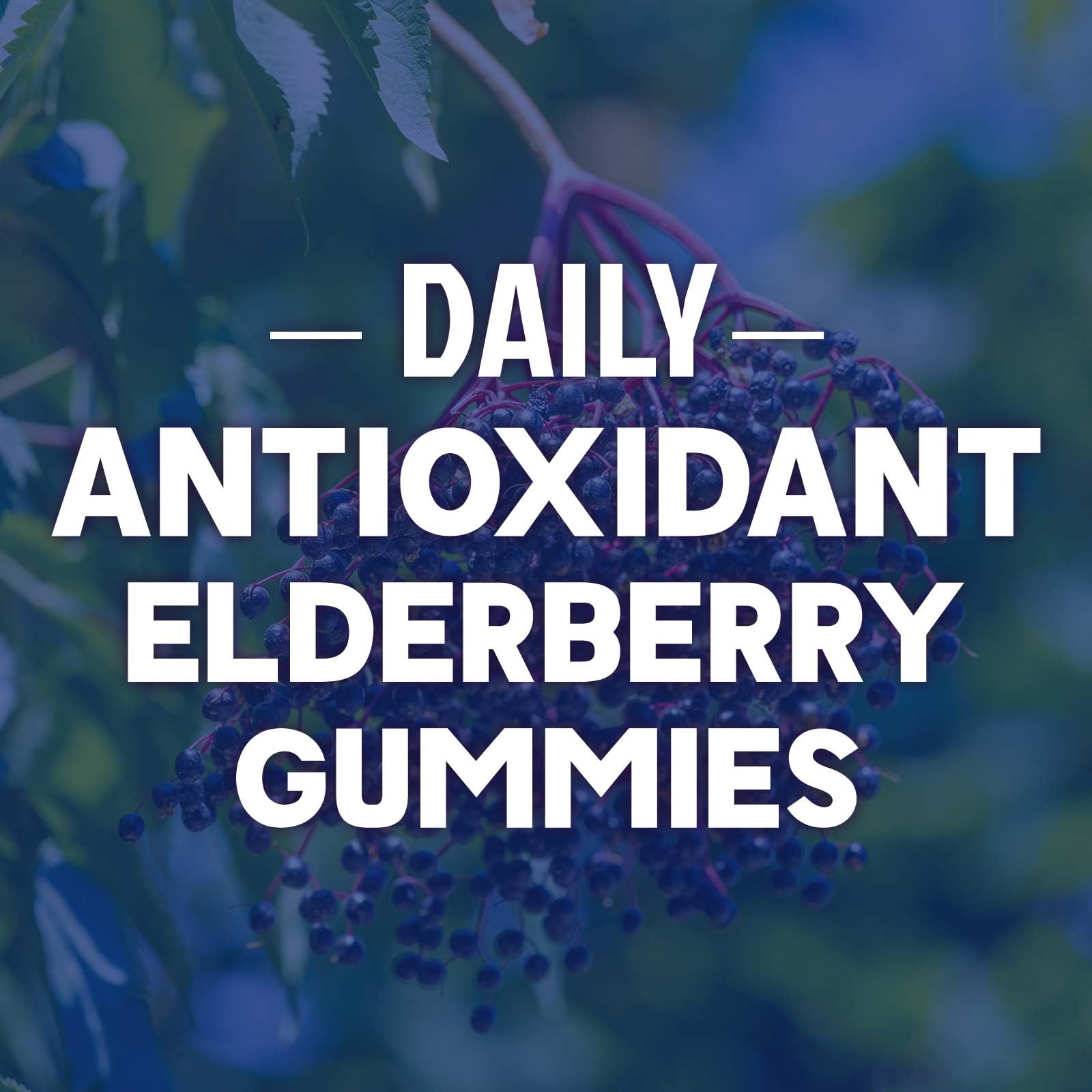 Gummy elderberry vitamins for adults and kids