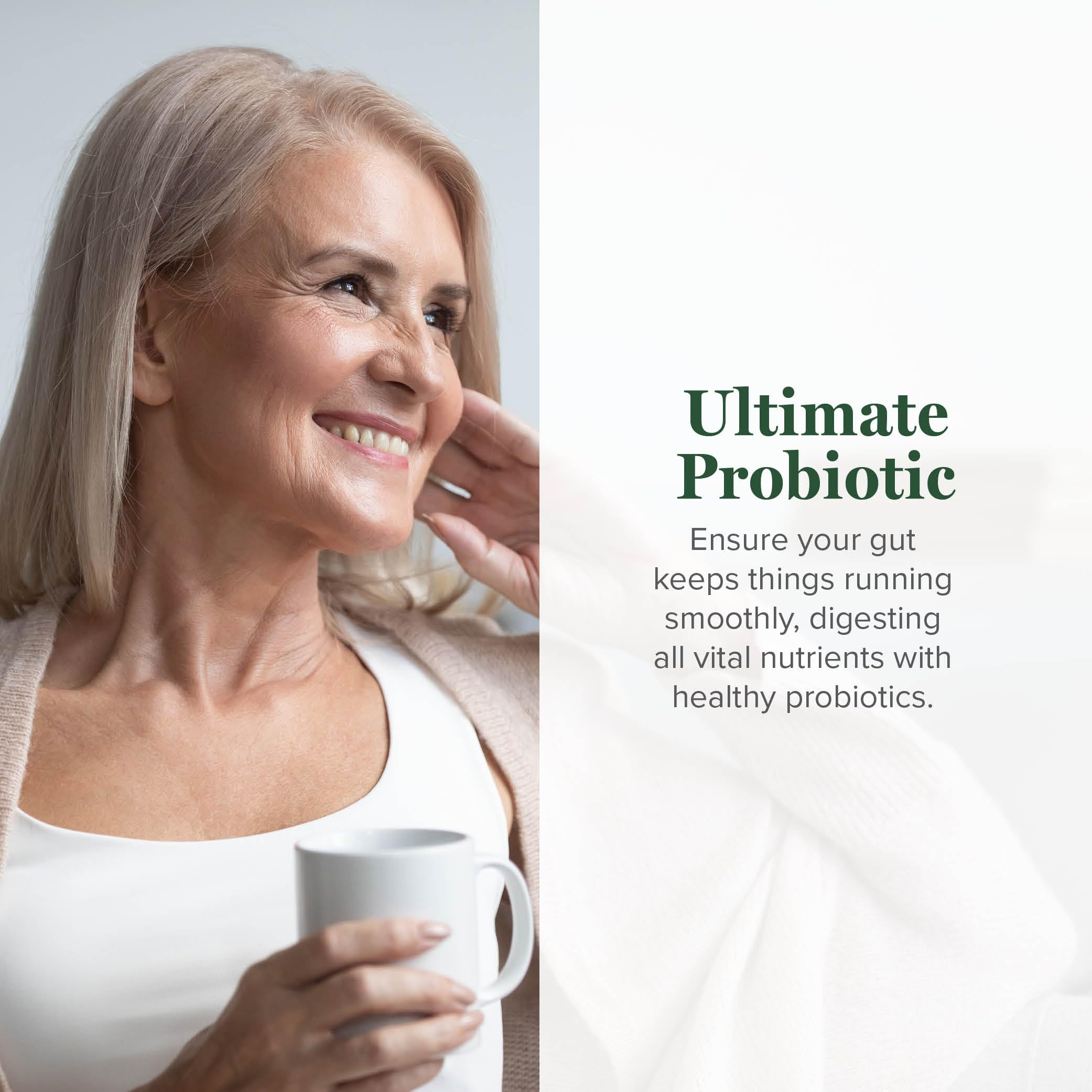 Gut health and immune system support visual for probiotics