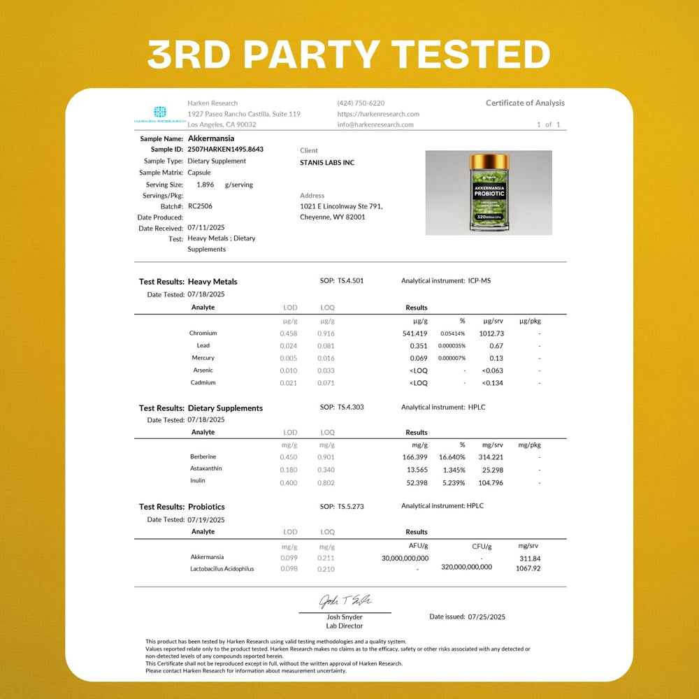 Immune support and gut health illustration