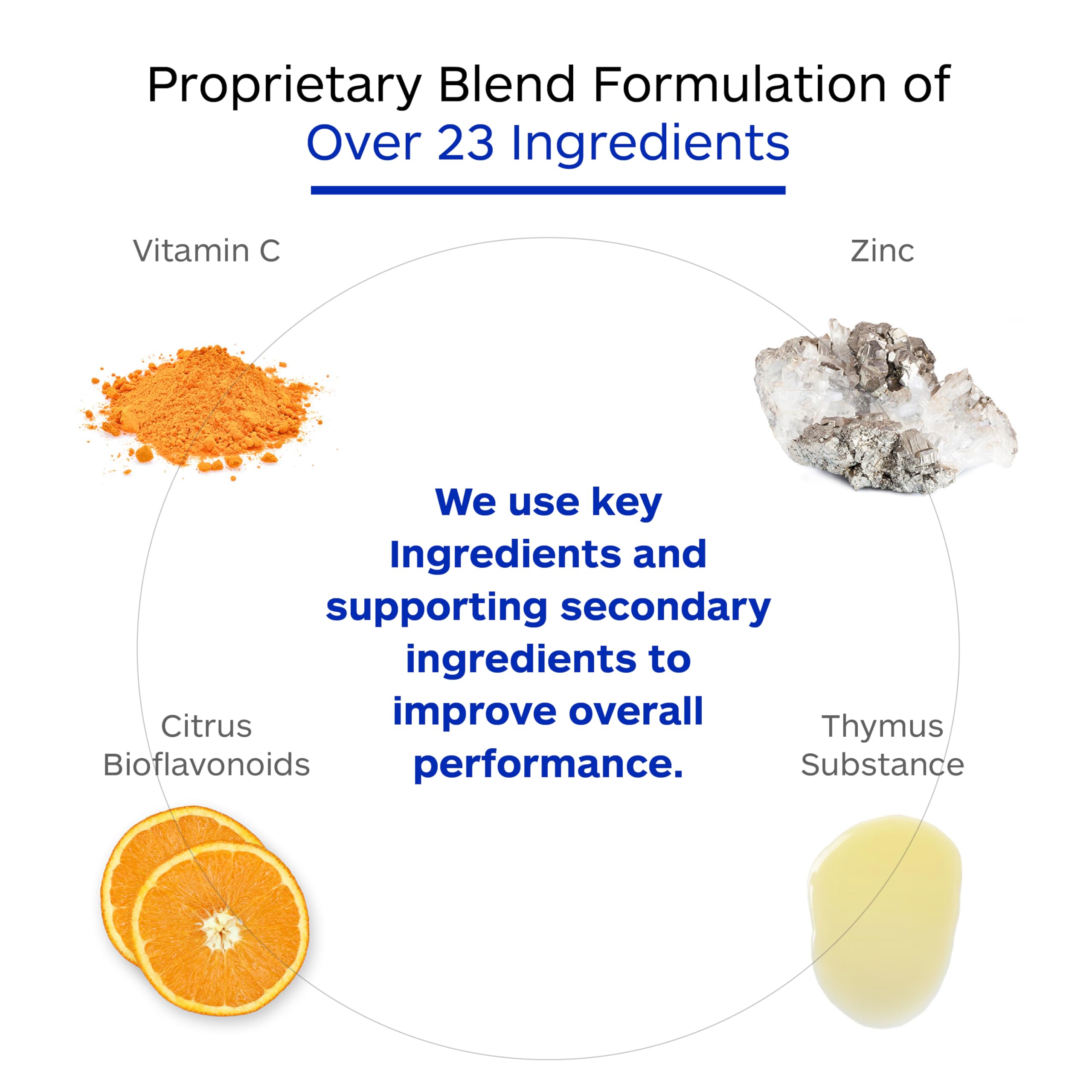 Immune support ingredients and vitamins infographic