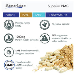 NAC immune system support benefits
