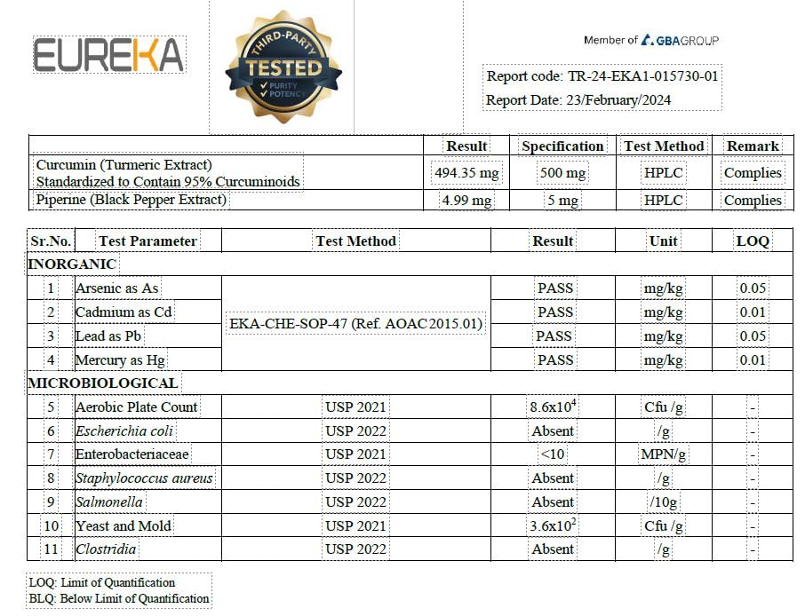 Graphic illustrating immune support protocol
