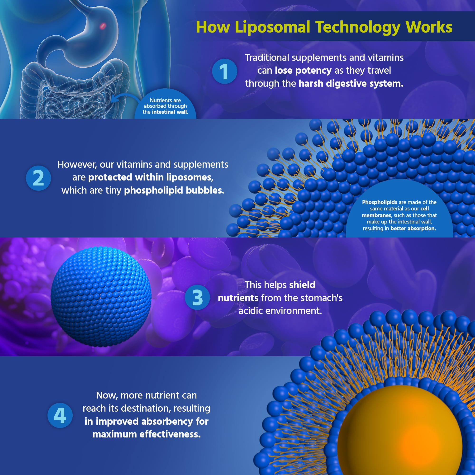 Vitamin C supporting immune health and skin health