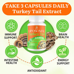 Immune support turkey tail capsules
