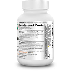 Immune support supplement featuring turmeric