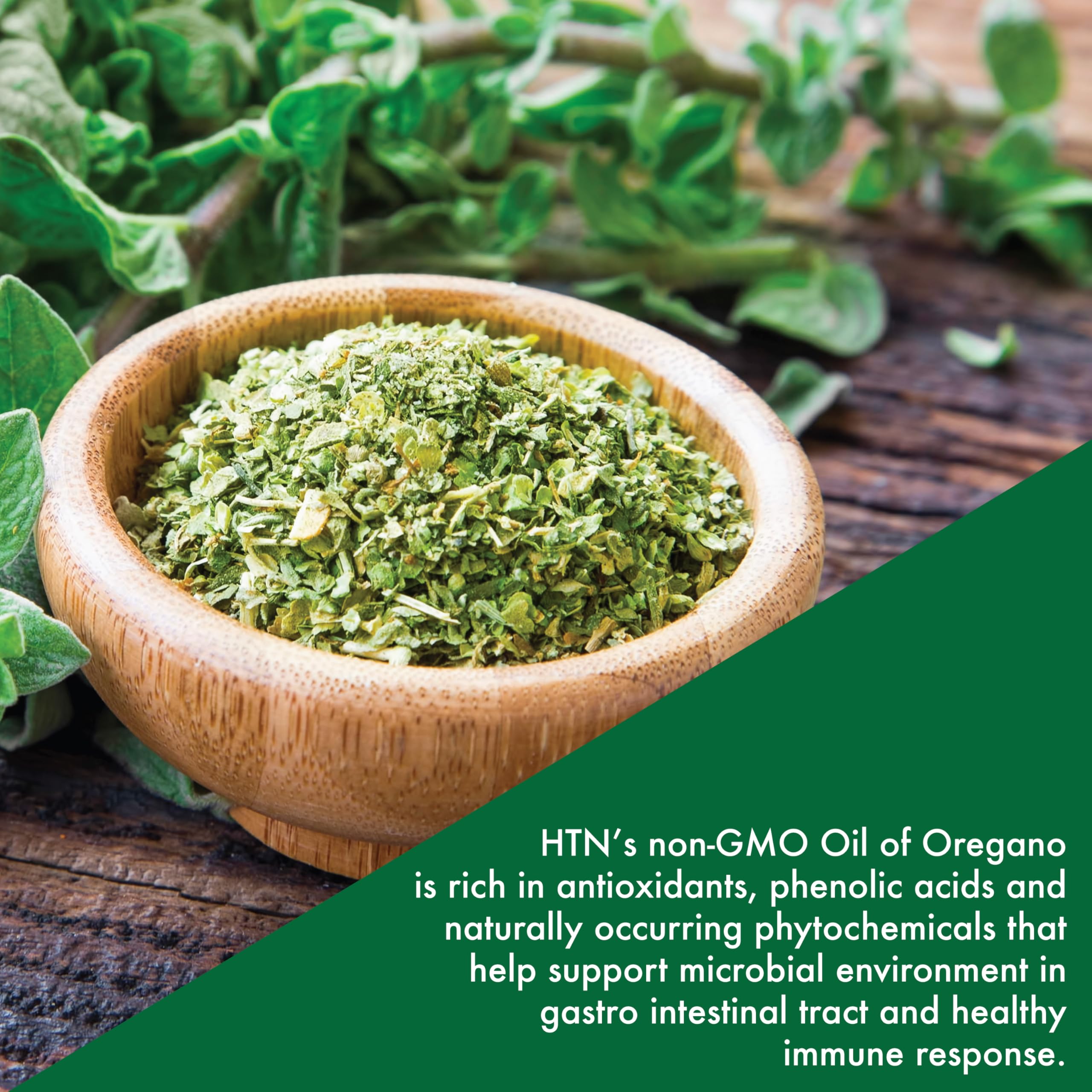 Illustration representing immune support from oregano supplement