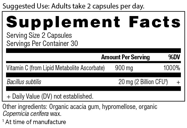 Close-up of vitamin C and probiotic ingredients on supplement label