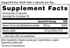 Close-up of vitamin C and probiotic ingredients on supplement label