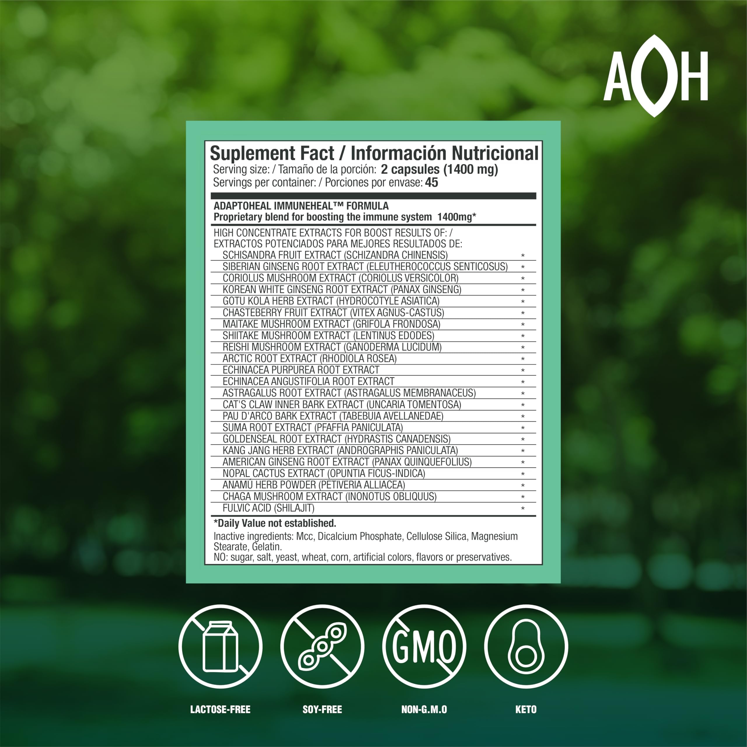 Close-up of Schisandra Chinensis berries