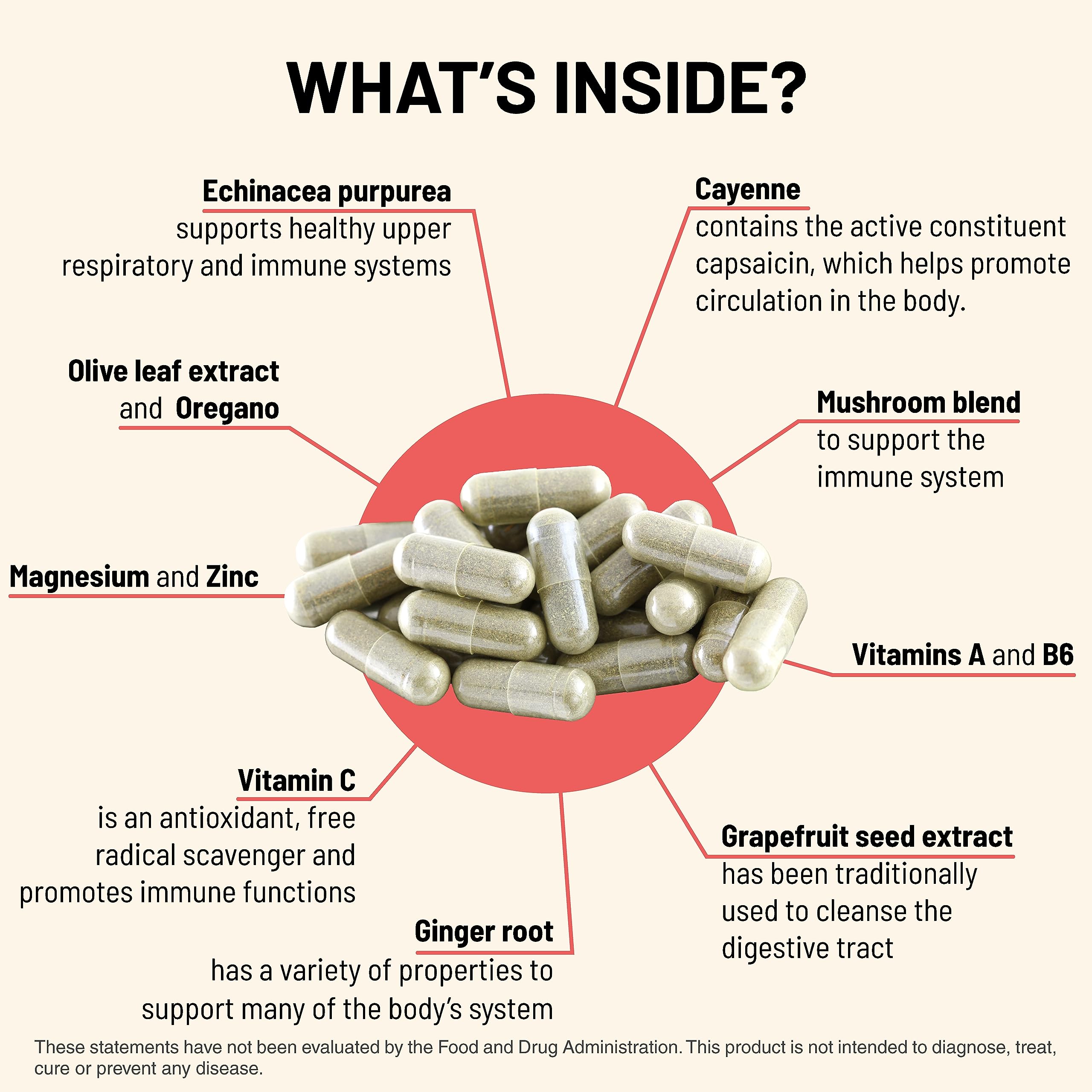 Illustration of six organic mushroom varieties used in Immuni-T blend