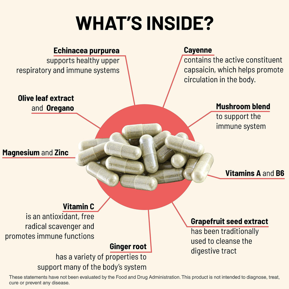 Illustration of six organic mushroom varieties used in Immuni-T blend