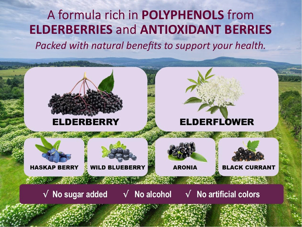 Elderflowers and elderberries used in Immunia Fusion