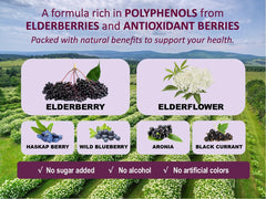 Elderflowers and elderberries used in Immunia Fusion