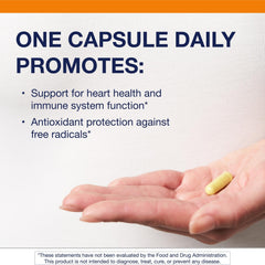 Graphic showing immunity support with quercetin
