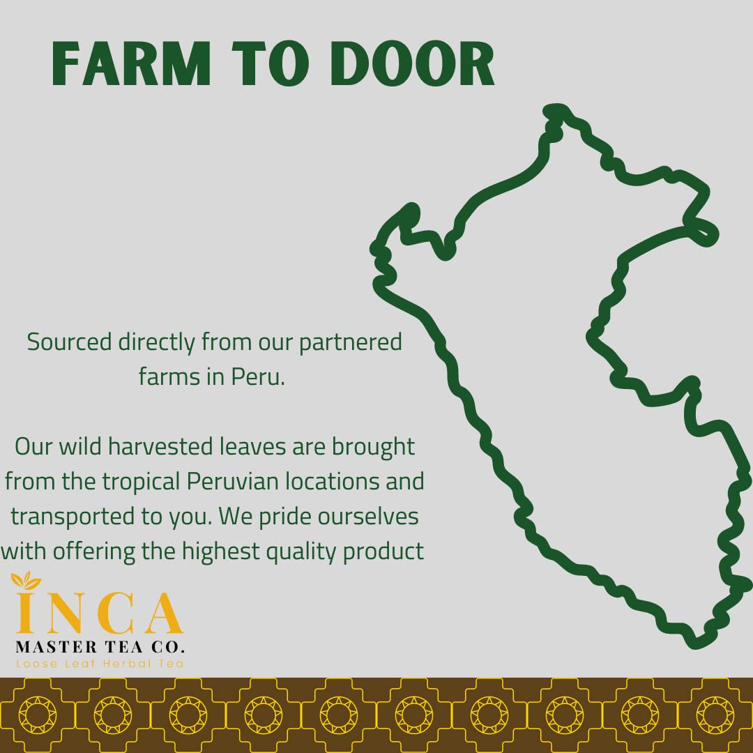 INCA MASTER TEA back label lists ingredients and brew guidance.