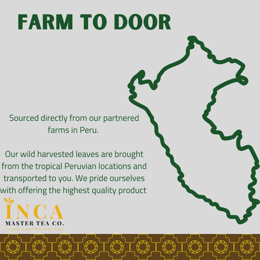 INCA MASTER TEA back label lists ingredients and brew guidance.