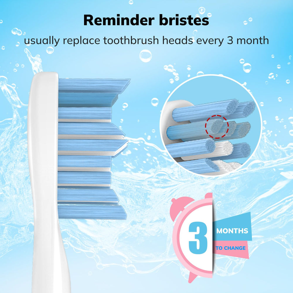 Indicator bristle tip showing color fading to signal replacement time