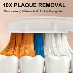 Indicator bristles signaling replacement every 3 months