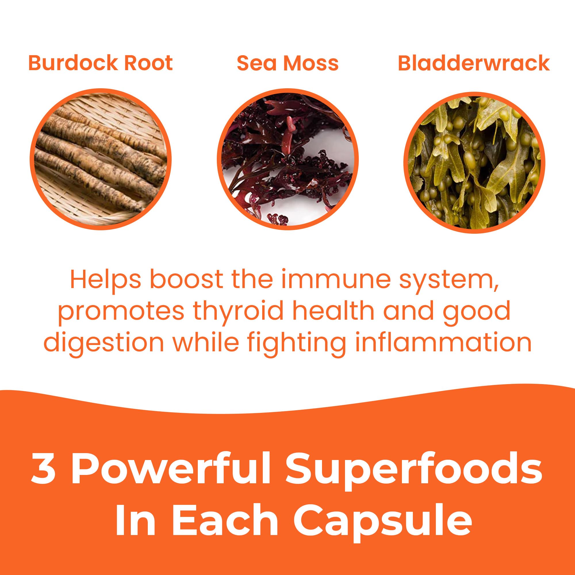 Vegan sea moss capsules texture and soft gel capsules