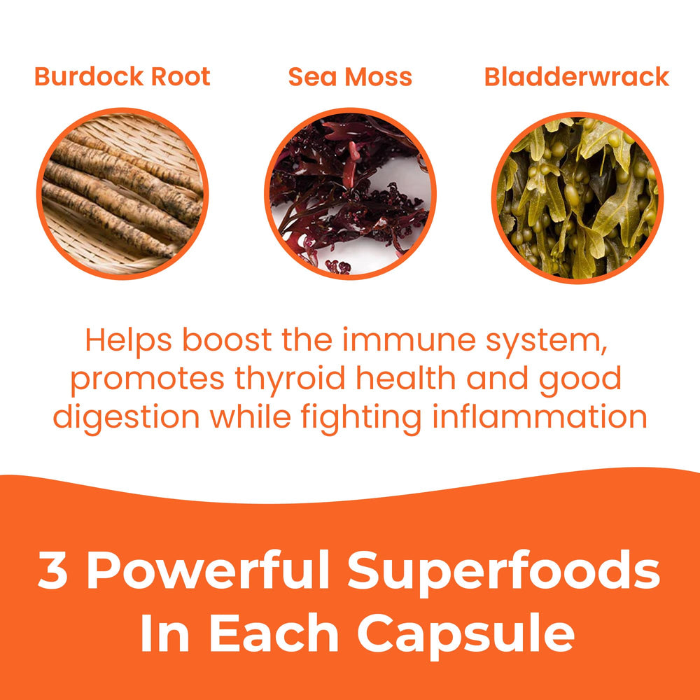 Vegan sea moss capsules texture and soft gel capsules