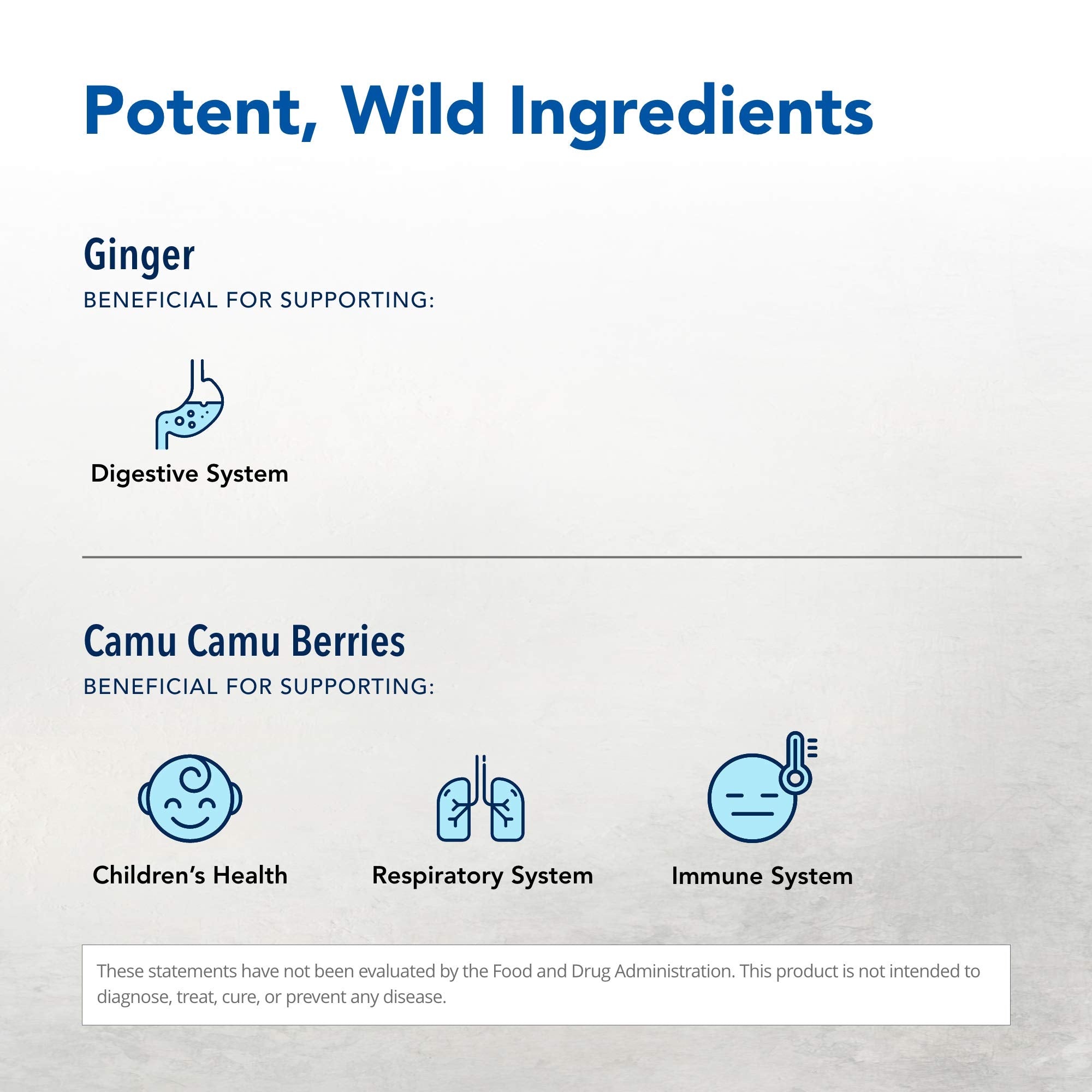 Ginger root - key ingredient in Inflam-EEZ