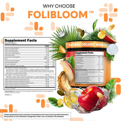 Illustration of pumpkin seed oil, biotin, zinc and hyaluronic acid ingredients